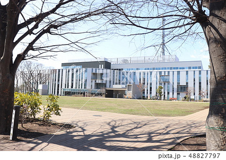 瀬谷区役所 瀬谷区役所 48827797