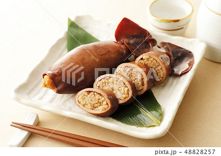 いかめし 48828257