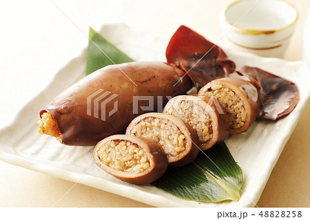 いかめし いかめし 48828258