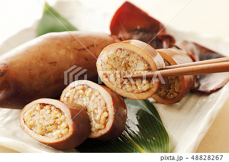 いかめし いかめし 48828267