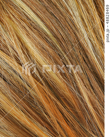 Hair. Hair Texture. Healthy hair 48828469