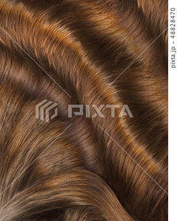 Hair. Hair Texture. Healthy hair 48828470