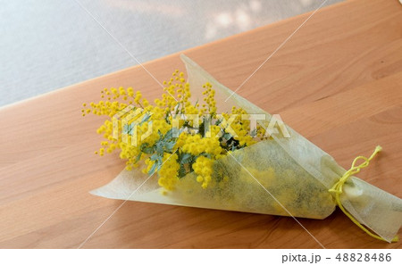 美しいミモザの花束、室内、インテリア 48828486