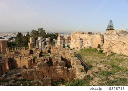 カルタゴ遺跡　世界遺産　チュニジア　アフリカ 48828713