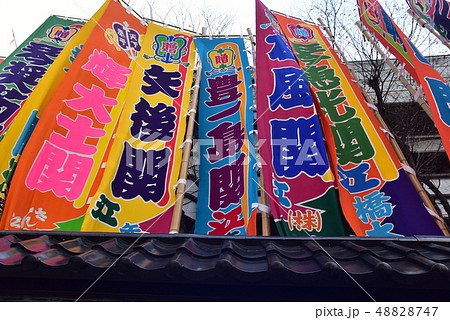 大相撲のぼり 大相撲のぼり 48828747