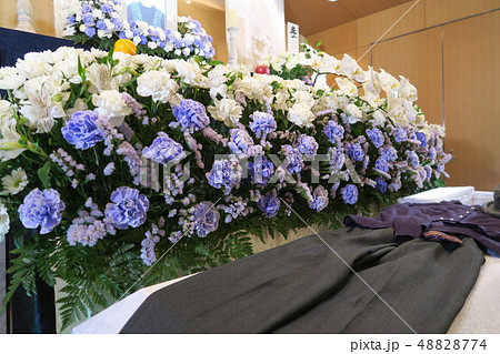 花祭壇 花祭壇 48828774
