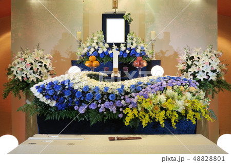 花祭壇 48828801