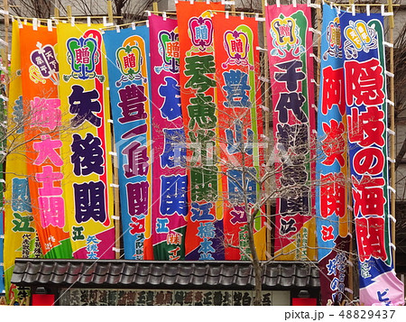 大相撲のぼり 48829437