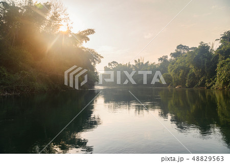 Sailing boat sightseeing of tropical jungle in 48829563