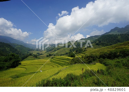 Landscape - Sapa (Vietnam) 48829601