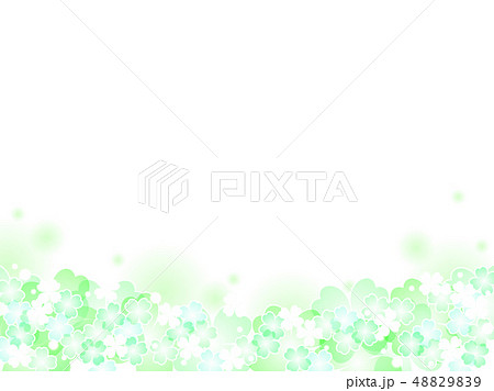 クローバーの背景 48829839
