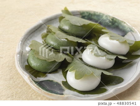 かしわ餅 48830541