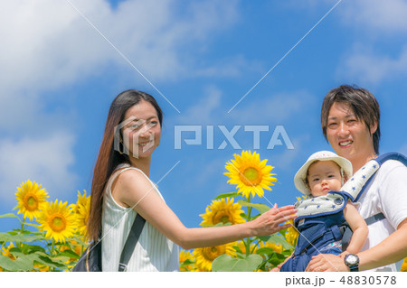 ひまわり畑と若い家族 ひまわり畑と若い家族 48830578