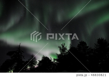オーロラ オーロラ 48830821