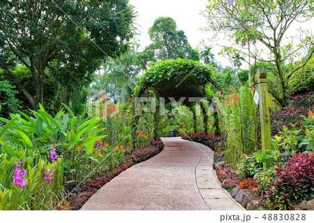 世界遺産 蘭庭園 ボタニックガーデン 世界遺産 蘭庭園 ボタニックガーデン 48830828