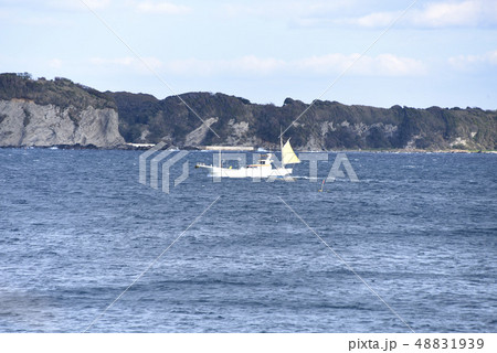 県立城ヶ島公園からの眺望 県立城ヶ島公園からの眺望 48831939