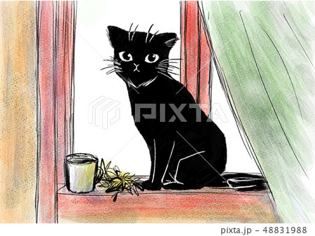 黒猫 48831988