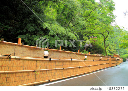 夏の風物貴船　川床を囲むヨシズ 48832275