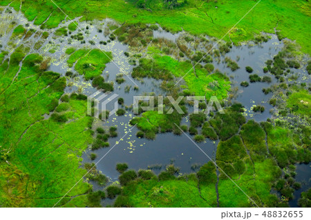 Aerial landscape in Okavango delta, Botswana 48832655