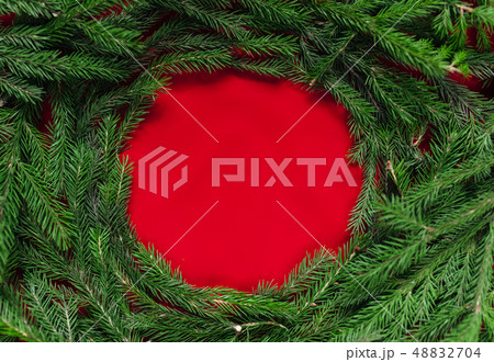 Christmas background. red background. Real tree 48832704