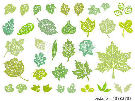 葉っぱスタンプ3 新緑カラーのイラスト素材 47