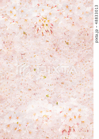 桜 桜 48833013