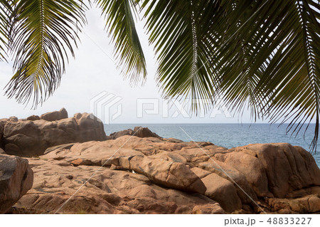 St. Pierre island, Seychelles 48833227