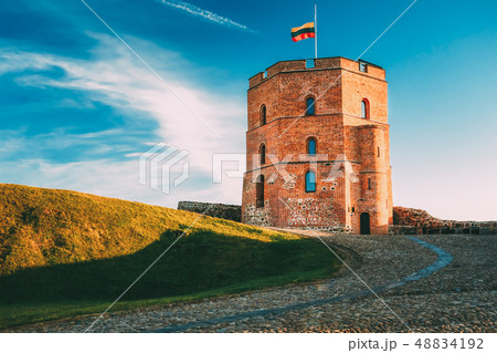 Tower Of Gediminas Gedimino In Vilnius, Lithuania. Historic Symbol Of The City Of Vilnius And Of 48834192