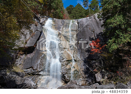 日本 / 長野県 / 南木曽 / 観光地 / 田立の滝 / 川 / 滝のイメージ 48834359