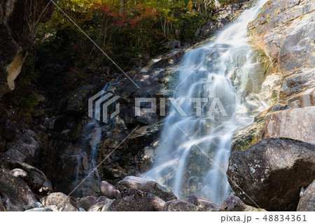 長野県 / 南木曽 / 観光地 / 田立の滝 / 川 / 滝のイメージ 48834361