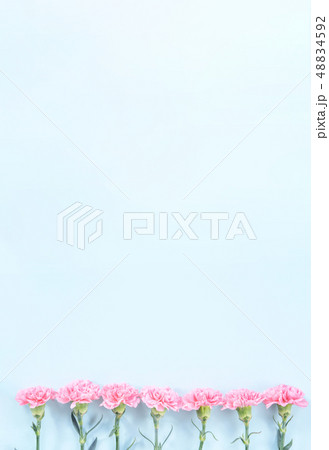 花 フラワー お花 48834592