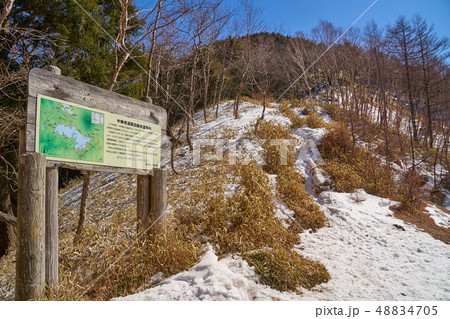 残雪の日光 半月峠(はんげつとうげ) 48834705