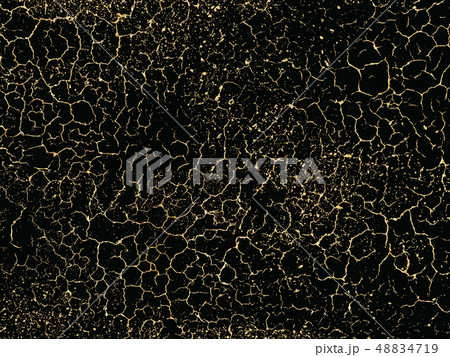 Patina scratch golden elements. Vector gold grunge texture. Trendy glamour background. Patina scratch golden elements. Vector gold grunge texture. Trendy glamour background. 48834719
