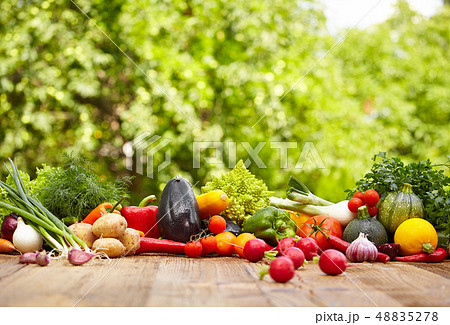 Fresh organic vegetables ane fruits on wood table Fresh organic vegetables ane fruits on wood table 48835278