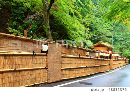 夏の風物貴船　川床を囲むヨシズ 48835376