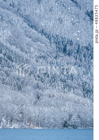 長野県大町市 雪景色の木崎湖 長野県大町市 雪景色の木崎湖 48835475
