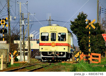 龍ヶ崎を快走する気動車 48836746