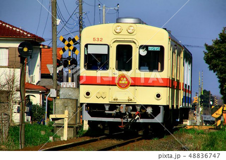 龍ヶ崎を快走する気動車 48836747