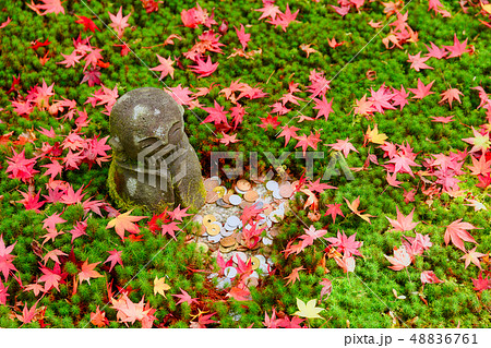 京都　圓光寺　十牛之庭のお地蔵様と紅葉 48836761