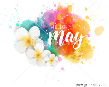Hello May - floral spring concept background Hello May - floral spring concept background 48837220