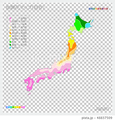 桜開花マップ・桜前線（目安） 48837509