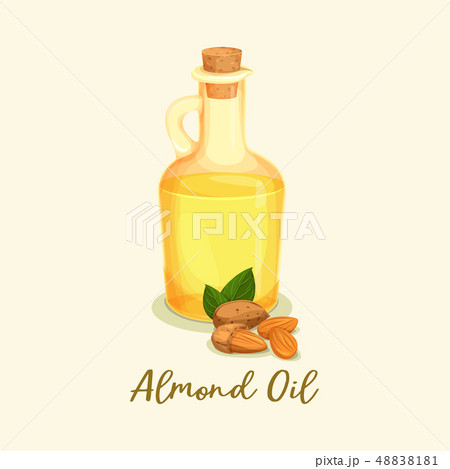 Bottle with golden almond oil or jar near nuts 48838181