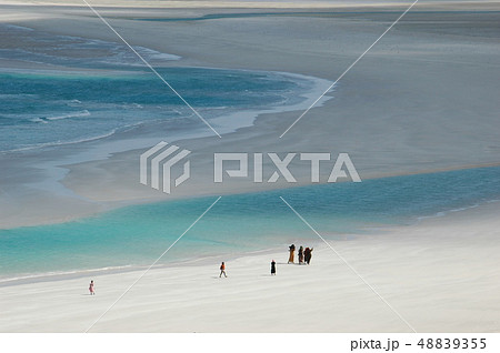 イエメンのソコトラ島の海岸 48839355