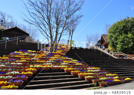 小田原こどもの森公園 わんぱくらんどエントランス広場への階段 小田原こどもの森公園 わんぱくらんどエントランス広場への階段 48839519