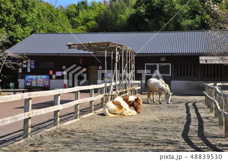 小田原こどもの森公園　わんぱくらんどふれあい広場 48839530