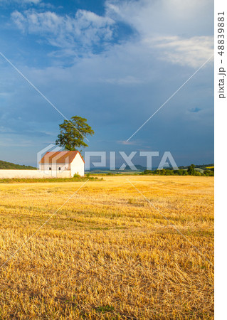 Cemetery between the fields at the village 48839881