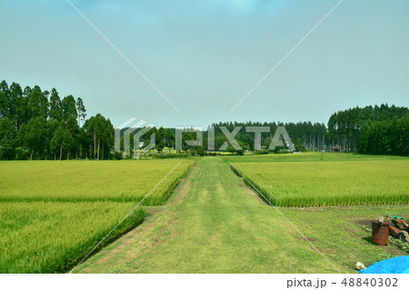 八戸線車窓の風景 48840302