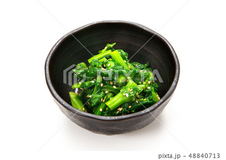 菜の花の辛子和え 菜の花の辛子和え 48840713