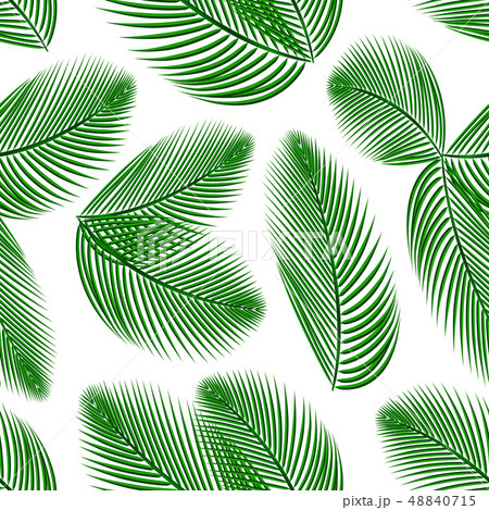 Palm leafs seamless pattern. 48840715