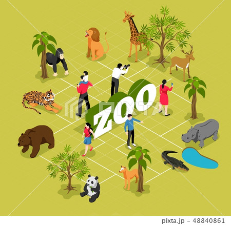 Zoo Isometric Flowchart 48840861